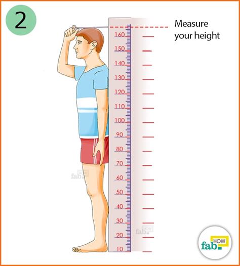 2.9 meters to feet|how tall is 2.9 meters.